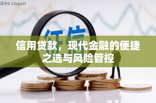 邢台信用贷款，现代金融的便捷之选与风险管控