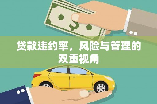 邢台贷款违约率，风险与管理的双重视角