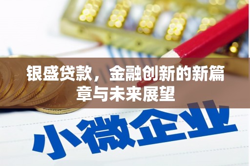 邢台银盛贷款，金融创新的新篇章与未来展望