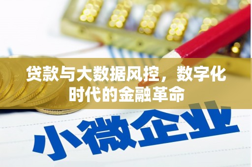 邢台贷款与大数据风控，数字化时代的金融革命