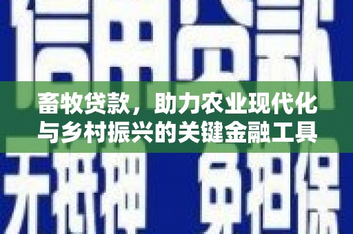 邢台畜牧贷款，助力农业现代化与乡村振兴的关键金融工具