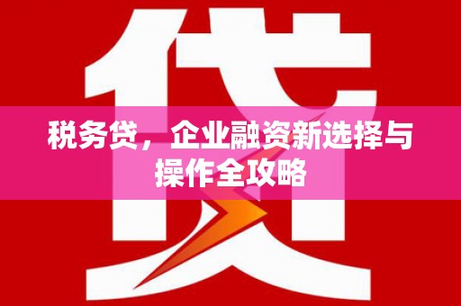 邢台税务贷，企业融资新选择与操作全攻略