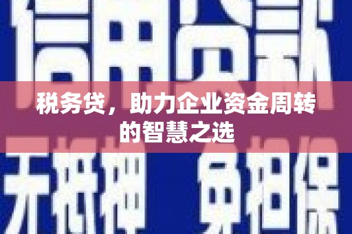 邢台税务贷，助力企业资金周转的智慧之选