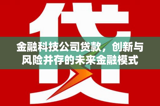 邢台金融科技公司贷款，创新与风险并存的未来金融模式