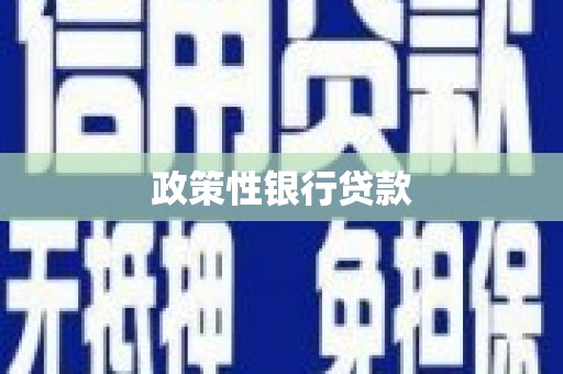 邢台政策性银行贷款