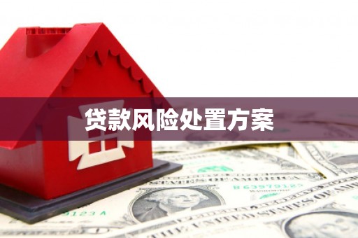 邢台贷款风险处置方案