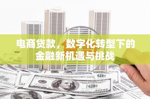 邢台电商贷款，数字化转型下的金融新机遇与挑战