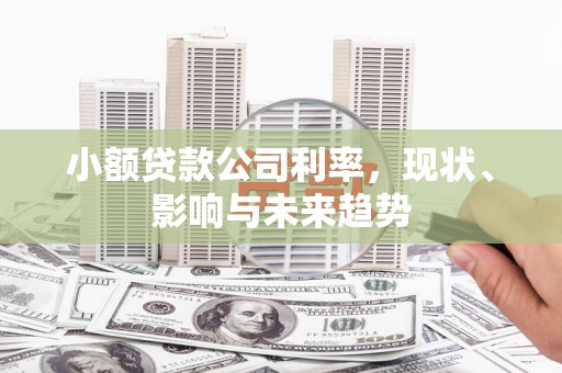 邢台小额贷款公司利率，现状、影响与未来趋势