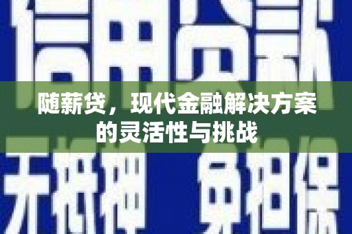 邢台随薪贷，现代金融解决方案的灵活性与挑战