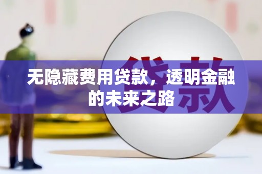 邢台无隐藏费用贷款，透明金融的未来之路