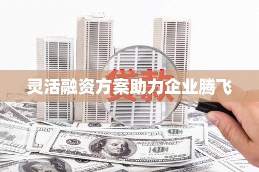 邢台灵活融资方案助力企业腾飞