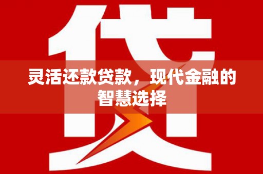邢台灵活还款贷款，现代金融的智慧选择