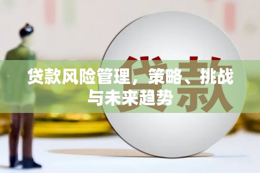 邢台贷款风险管理，策略、挑战与未来趋势