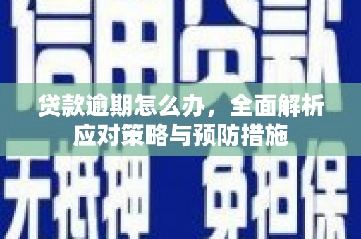 邢台贷款逾期怎么办，全面解析应对策略与预防措施