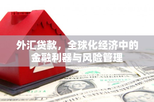 邢台外汇贷款，全球化经济中的金融利器与风险管理