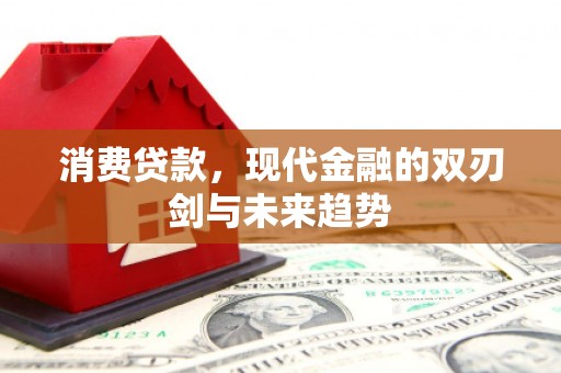 邢台消费贷款，现代金融的双刃剑与未来趋势