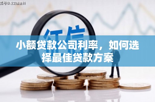 邢台小额贷款公司利率，如何选择最佳贷款方案