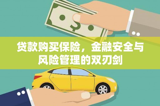 邢台贷款购买保险，金融安全与风险管理的双刃剑