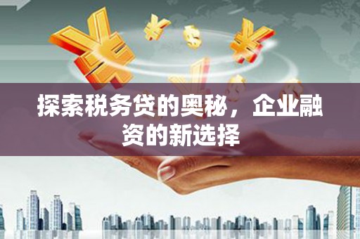邢台探索税务贷的奥秘，企业融资的新选择