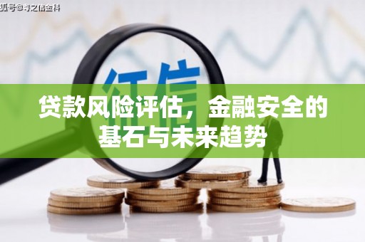 邢台贷款风险评估，金融安全的基石与未来趋势