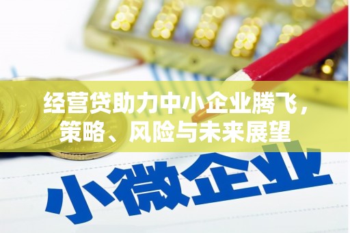 邢台经营贷助力中小企业腾飞，策略、风险与未来展望