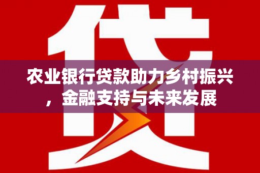 邢台农业银行贷款助力乡村振兴，金融支持与未来发展