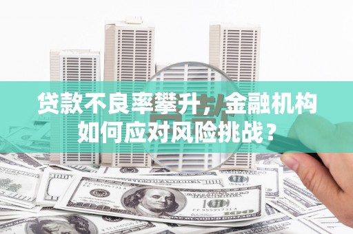 邢台贷款不良率攀升，金融机构如何应对风险挑战？