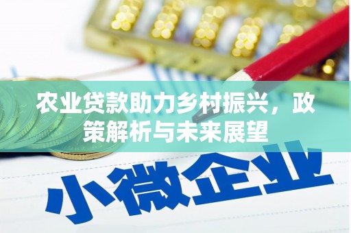 邢台农业贷款助力乡村振兴，政策解析与未来展望