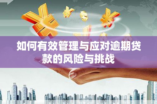 邢台如何有效管理与应对逾期贷款的风险与挑战