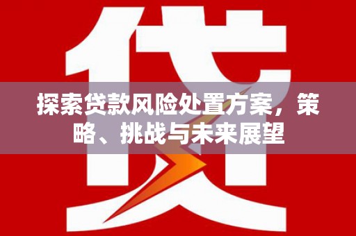 邢台探索贷款风险处置方案，策略、挑战与未来展望