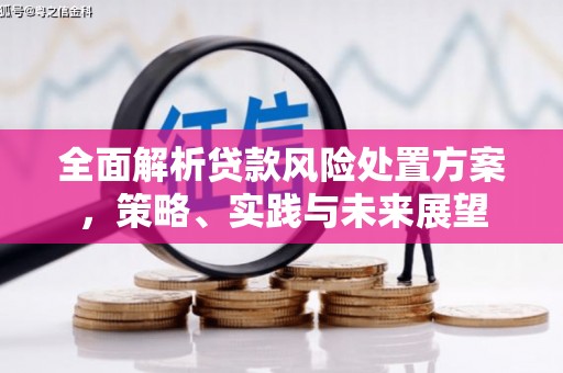 邢台全面解析贷款风险处置方案，策略、实践与未来展望
