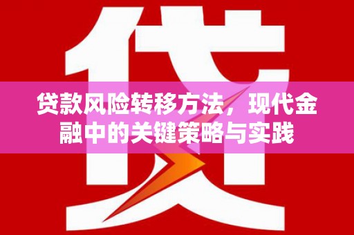 邢台贷款风险转移方法，现代金融中的关键策略与实践