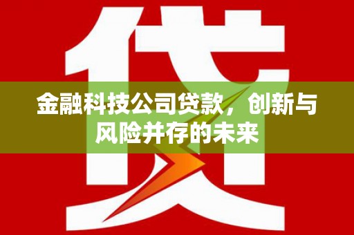 邢台金融科技公司贷款，创新与风险并存的未来