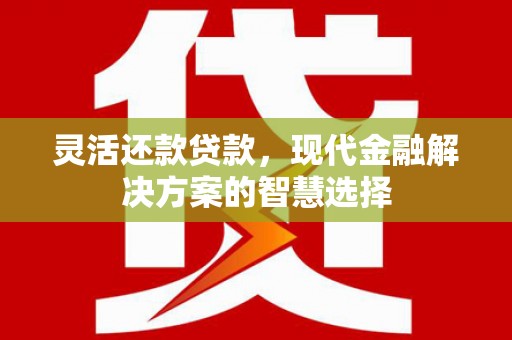 邢台灵活还款贷款，现代金融解决方案的智慧选择
