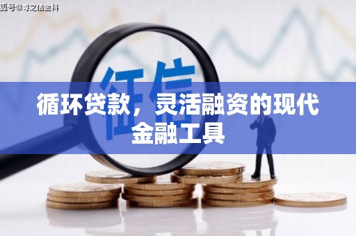 邢台循环贷款，灵活融资的现代金融工具