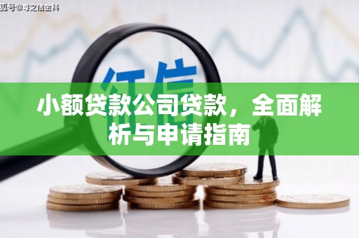 邢台小额贷款公司贷款，全面解析与申请指南