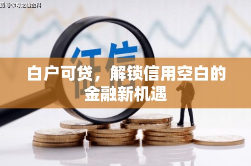 邢台白户可贷，解锁信用空白的金融新机遇