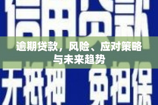 邢台逾期贷款，风险、应对策略与未来趋势