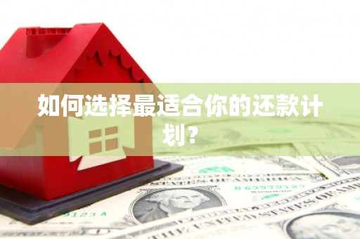邢台如何选择最适合你的还款计划？