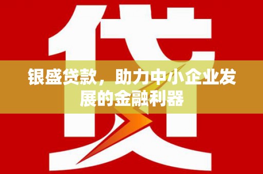 邢台银盛贷款，助力中小企业发展的金融利器