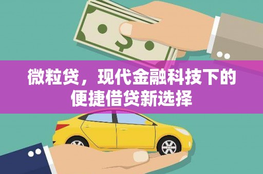 邢台微粒贷，现代金融科技下的便捷借贷新选择
