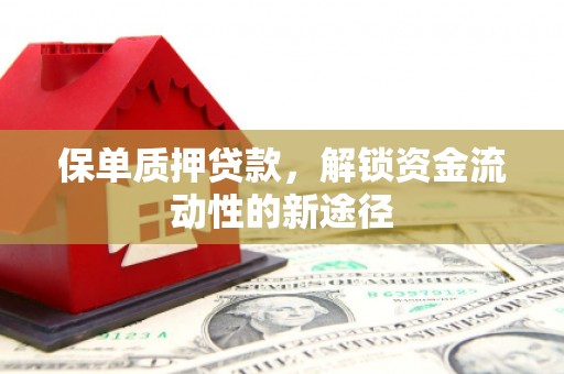 邢台保单质押贷款，解锁资金流动性的新途径