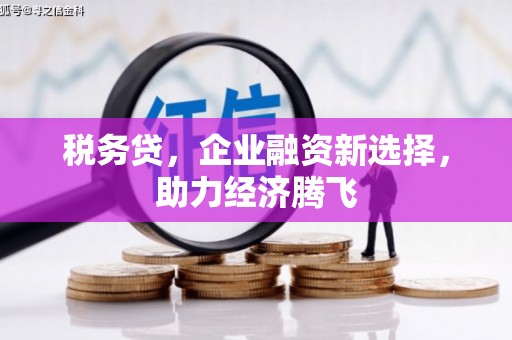 邢台税务贷，企业融资新选择，助力经济腾飞