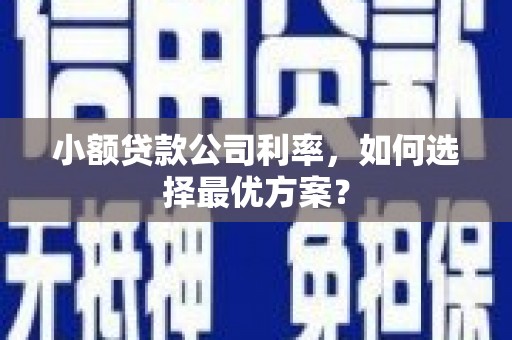 邢台小额贷款公司利率，如何选择最优方案？