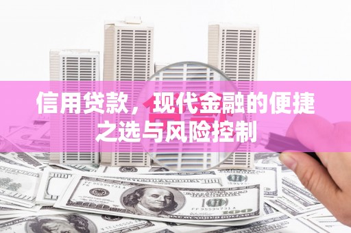 邢台信用贷款，现代金融的便捷之选与风险控制