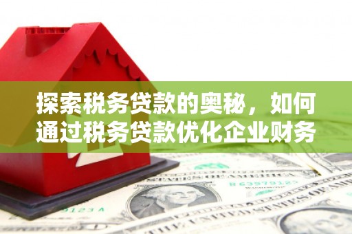 邢台探索税务贷款的奥秘，如何通过税务贷款优化企业财务