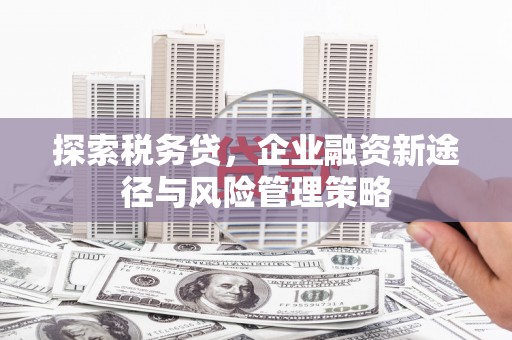 邢台探索税务贷，企业融资新途径与风险管理策略