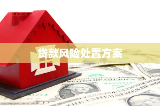 邢台贷款风险处置方案