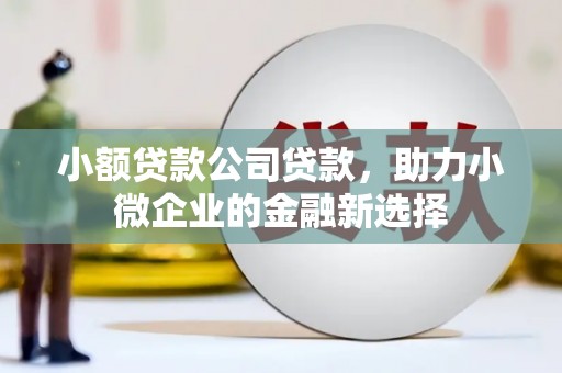邢台小额贷款公司贷款，助力小微企业的金融新选择