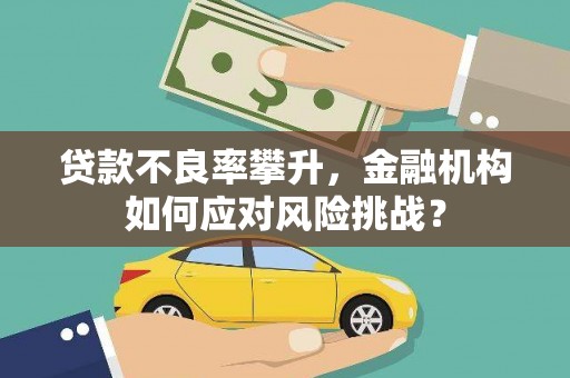 邢台贷款不良率攀升，金融机构如何应对风险挑战？